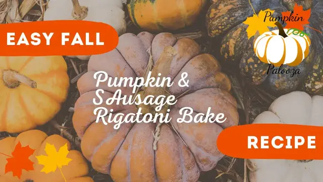 Video thumbnail for Pumpkin & Sausage Rigitoni Bake //  Pumpkin Palooza  // Jeni Gough