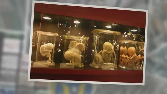 Video thumbnail for Are Fetal Cells Ingredients in Food and Drinks?