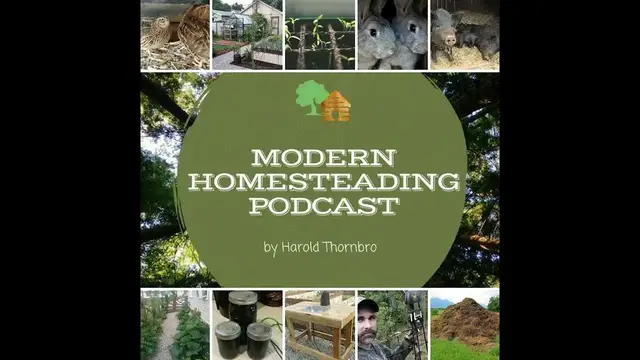 Video thumbnail for An Introduction To Using Cover Crops For Soil Improvement - Modern Homesteading Podcast