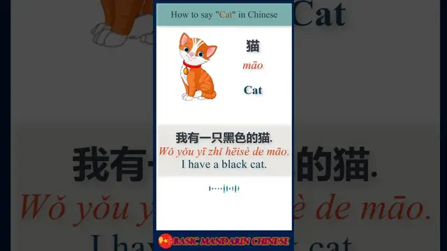 Video thumbnail for How to say cat in Chinese | English to Chinese #shorts