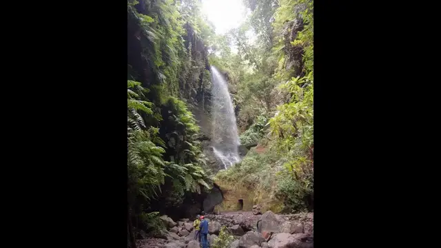 Video thumbnail for Cascada von Los Tilos - La Palma