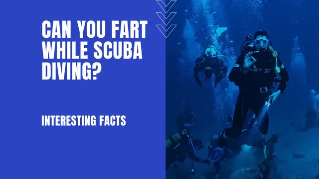Video thumbnail for Can You Fart While Scuba Diving? (7 Interesting Facts)