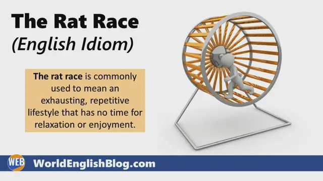 Video thumbnail for The Rat Race (English Idiom)