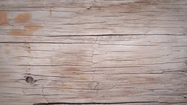 Video thumbnail for Did Texas Deploy the State Guard to Stave Off an ‘Obama Takeover’?