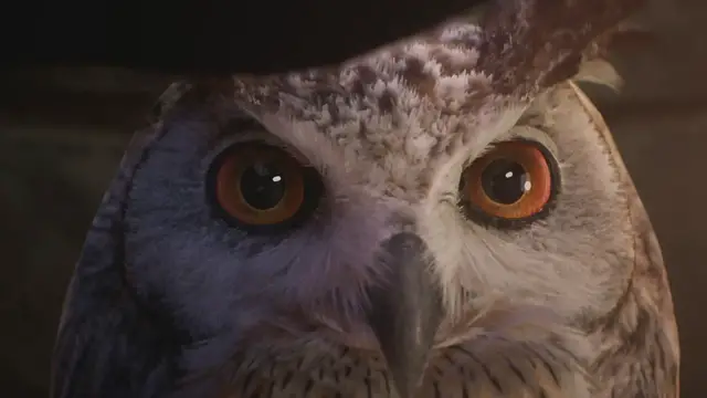 Video thumbnail for Hogwarts Legacy Cinematic Trailer 4K