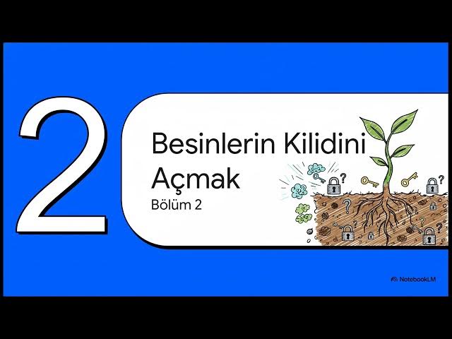 Video thumbnail for TRM106U Toprak Bilgisi ve Bitki Besleme 2024-2025 Final Soruları