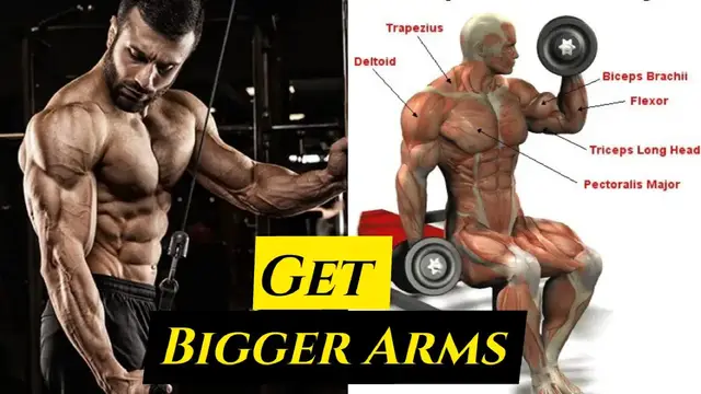 Video thumbnail for How to Get Bigger Arms: Best Exercises for Biceps and Triceps