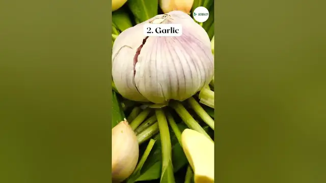 Video thumbnail for Great Companion Plants for Rhubarb #farming #herbgarden #shorts