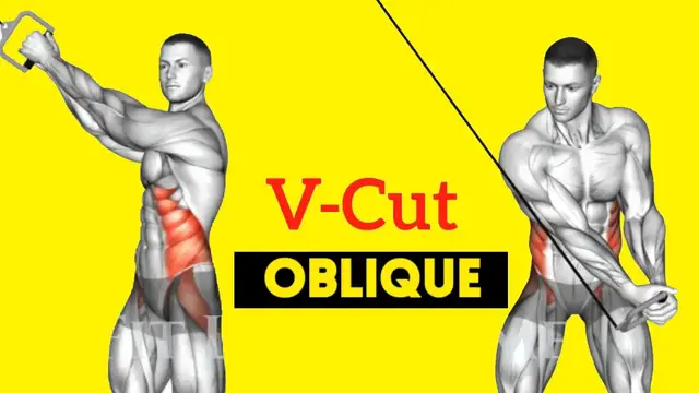 Video thumbnail for Best Oblique CABLE ONLY Exercises For Strong & V-cut Abs