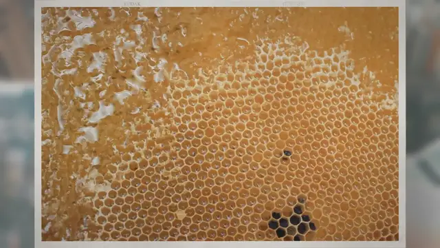 Video thumbnail for Are Honeycombs Edible? Are They Good for You?