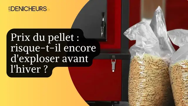 Video thumbnail for 💵​🫘 Prix du pellet risque-t-il encore d'exploser en hiver ? ❄️