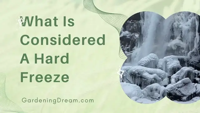 Video thumbnail for What Is Considered A Hard Freeze