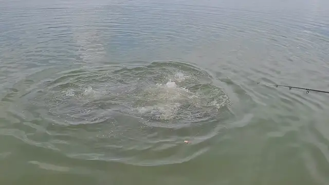 Video thumbnail for Fishing for Barra at Barra Adventures