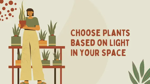 'Video thumbnail for Pastel Green Plant Care Tips Creative'