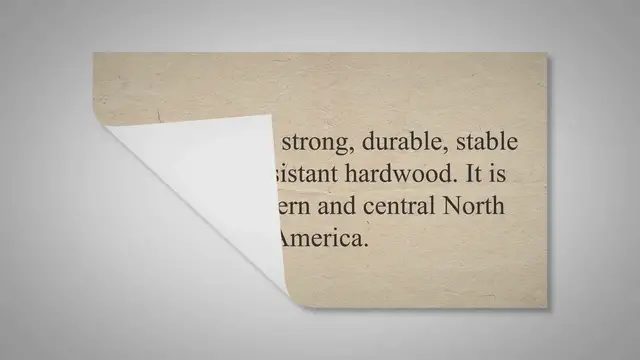 'Video thumbnail for Ash Wood | Its Advantages and Disadvantages'
