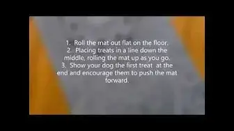 'Video thumbnail for Brain game for dogs | house-training for dogs and puppies | #dogtrainertip'