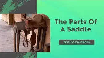 Video thumbnail for The Parts Of A Saddle