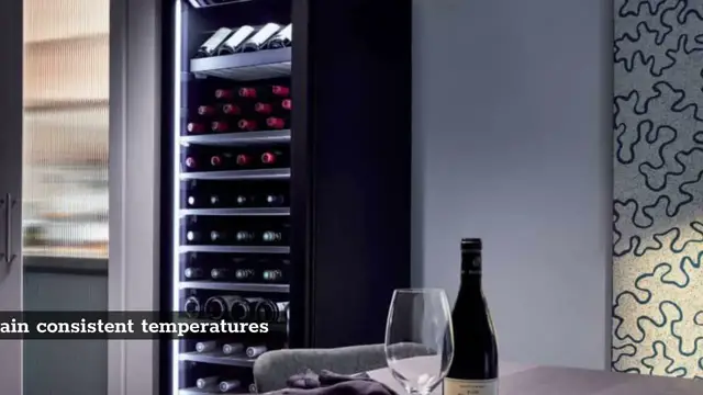 Video thumbnail for Best Large Wine Storage Refrigerators? Here’s 3 Best Option For You!