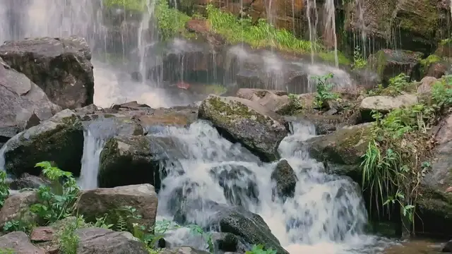 Video thumbnail for Main Effects Of Population On Ecosystem