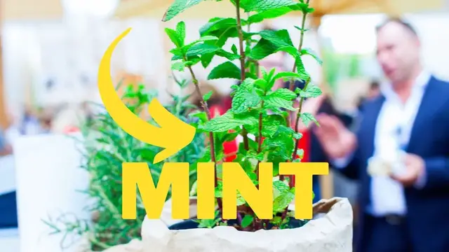 'Video thumbnail for Types of Mint Plants'