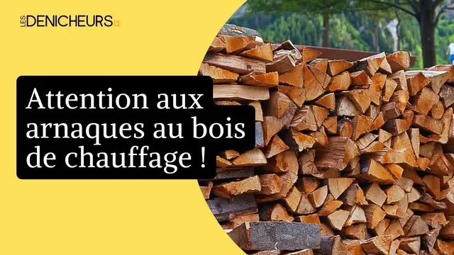 Video thumbnail for Attention aux arnaques au bois de chauffage / Voici les prix moyens pratiqués pour l'hiver 💰