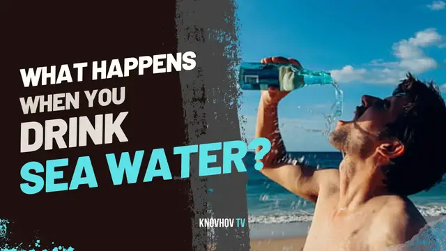 'Video thumbnail for What Happens when you Drink Sea Water? Shocking Experiments'