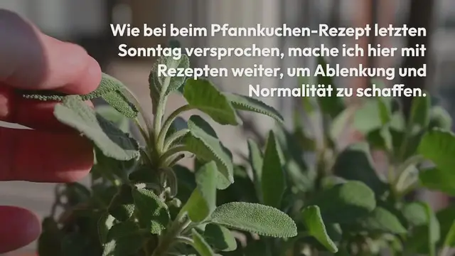 Video thumbnail for Bärlauch-Avocado-Aufstrich {bärlauchsaison}