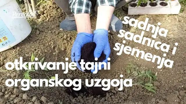 'Video thumbnail for Radionica Sadnje sadnica i sjemenja (korak po korak) otkrivanje tajni i metoda prirodnog uzgoja'