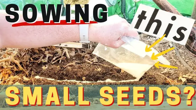 Video thumbnail for Liquid Sowing For Small Seeds. STOP Thinning Lettuce & Carrot Seedling With This Method Of Sowing/