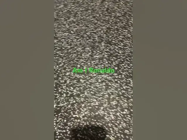 Video thumbnail for I’m gonna be famous