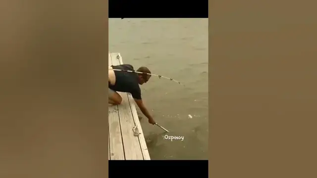 Video thumbnail for good bye #fishing #fishingmemes #gonefishing #catchoftheday #fishingfails