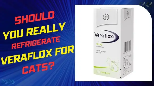 'Video thumbnail for Should You Really Refrigerate Veraflox for Cats?'