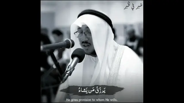 Video thumbnail for تلاوه هادئه وخشوع شير فى الخير ستورى قصير