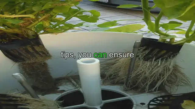 Video thumbnail for Maximize Plant Growth and Yield in Aeroponic Gardening System - Tips and Tricks
