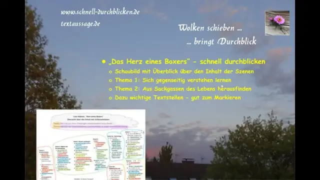 Video thumbnail for "Das Herz eines Boxers" - Inhalt der Szenen und Schlüsselzitate - wissen, worum es geht und mitreden