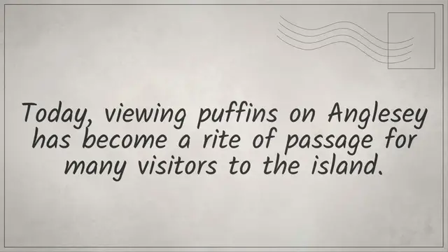 'Video thumbnail for Where Can You See Puffins on Anglesey Island?'