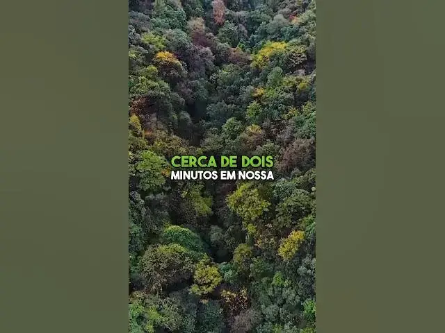 'Video thumbnail for A verdade sobre minha experiência de quase morte: uma revelação pessoal #experienciadequasemorte'