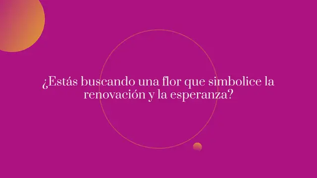 Video thumbnail for Todo sobre el narciso, la flor simbólica que anuncia la primavera