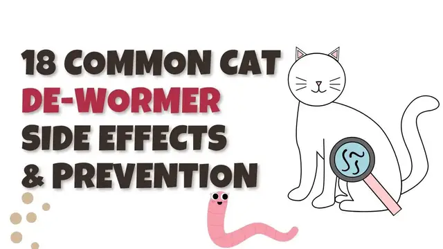 'Video thumbnail for 18 Common Cat De-wormer Side Effects and Tips'