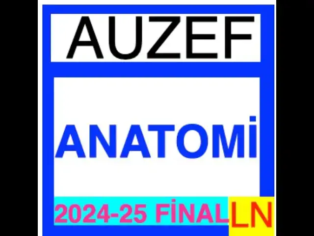Video thumbnail for Auzef Anatomi 2024-2025 Final Soruları