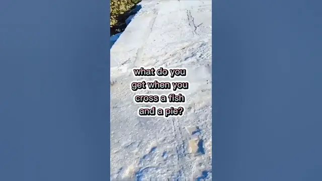 Video thumbnail for Fishing Joke 25 #jokes #fishingjokes #humor