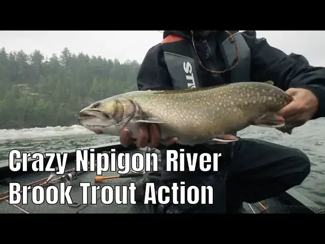 Video thumbnail for Crazy Brook Trout Action On The Nipigon River | Fish'n Canada