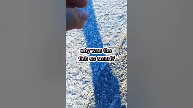 Video thumbnail for Fishing Joke 24 #jokes #fishingjokes #humor