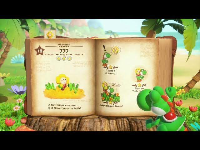 Video thumbnail for Yoshi and The Mysterious Book - Chapter 1 The Wildwoods: Return To Mr. E Name Creature Crazee Dayzee