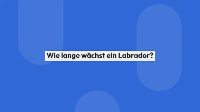 Video thumbnail for Labrador Quiz – 8 Fragen (mit Antworten)