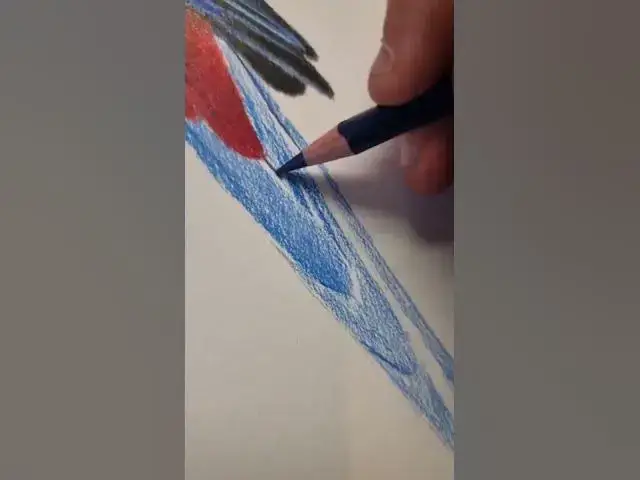 Video thumbnail for Realism Bird Drawing #shorts