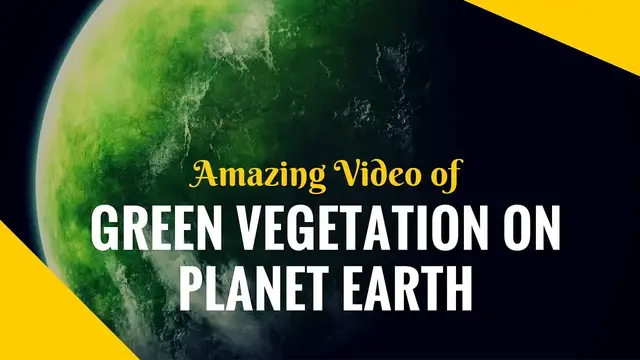 Video thumbnail for Amazing Views of Green Vegetation on Planet Earth | Satellite pictures of Earth's plantation