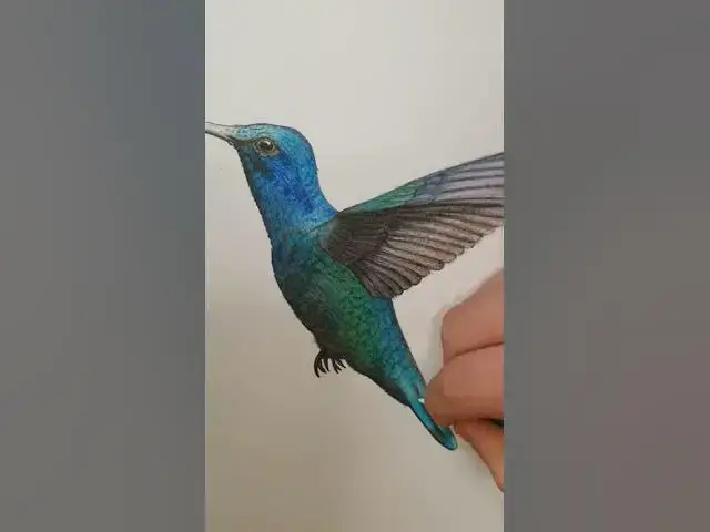 Video thumbnail for BIRD DRAWING TIMELAPSE