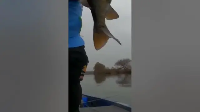 Video thumbnail for How to (not) miss U #fail #fishing #bassfishing