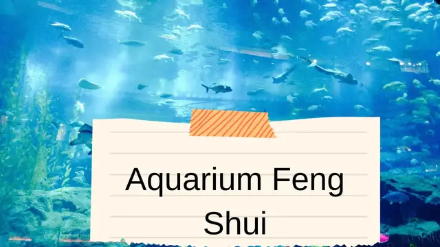 Video thumbnail for Aquarium Feng Shui